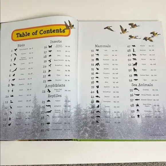 Master Books God's Big Book of Animals - Educational Book for Kids-Homeschool - Picture 5 of 16